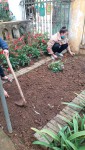 Tết trồng cây